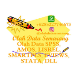 Timbul Widodo