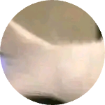 SpCosta11