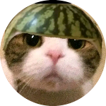 Tangii
