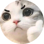 Puhaha