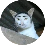 Koskitulah 