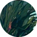 filekita