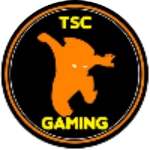 Andy TSC Gaming