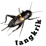 Jangkrik