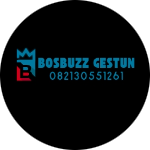 bosbuzz gestun
