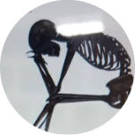 najm1