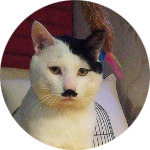 Novian Nurrohman