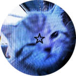 Sannzz Mods