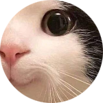 Rayfreeyoutube
