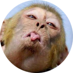 DANGHOYENG