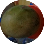 bima123
