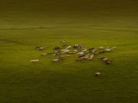 00016LightWallpaper.jpg