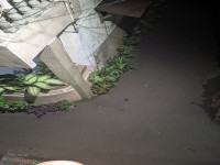 By Seputar gcam4 Jan 22_35. iPhone 16 Stabilizer V15 Auto.jpg