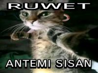 FB_IMG_17755422198416509.jpg