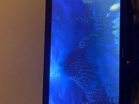 IMG_0855.jpeg