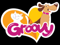 Logo Groovy - Copy.png