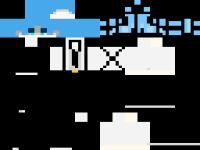 Skin323.png