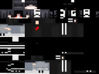 SkinseedSkin_1766275321297.png