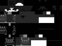 s k i n.png