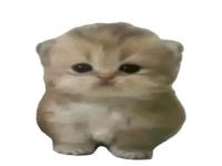 1771697856620.jpg
