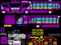 2liveryCtruckTkotak.png