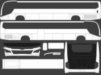 Man Lions Coach 2020_converted.png