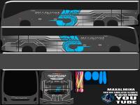 Volvo 9800 Maxalmina.png