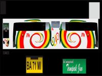 Livery NPM Express Jaya RS New Celcius.png