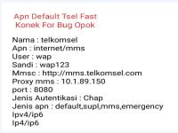 BUG 2 APN.png