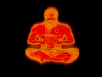 Picsart 24-11-06 19-00-09-636.png