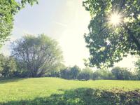 landscape-4945250.jpg