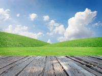 landscape-5064985.jpg