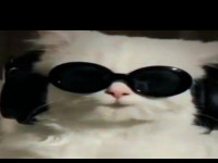 Screenshot 2023 0704 021245.png