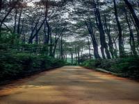 Screenshot 20230705 014841 Gallery.jpg