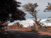 IMG 20230712 094521.jpg