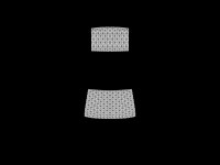 priusglass.png