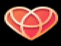 fans badge icon lv30 v0.png tplv-obj.image.png