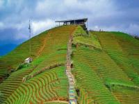 wisata-terasering panyaweuyan.jpg