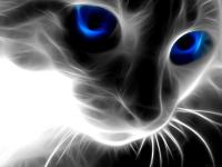 black-cat-with-blue-eyes.jpg