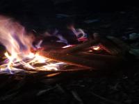 IMG-20230823-WA0014.jpeg