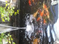 IMG-20230815-WA0000.jpeg