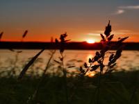evening-sunset-sun-sky-lake-grass-horizon-landscape-twilight.jpg