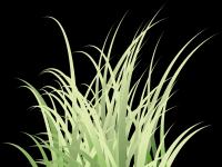 grass.png