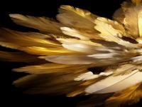 Oppo Find N3 Flip Wallpaper.jpeg