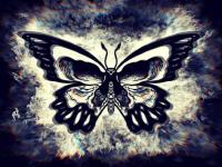 beautiful art butterfly.jpg