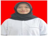 NINDA.png