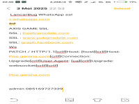 BUG WAHTSHAP SSL.png