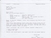 1  contoh surat lamaran kerja tulis tangan fresh graduate - Pinterest.jpg