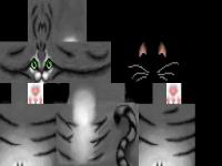 hd-warrior-cat.png