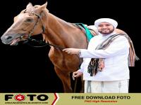 HABIB SYECH PNG 87.png